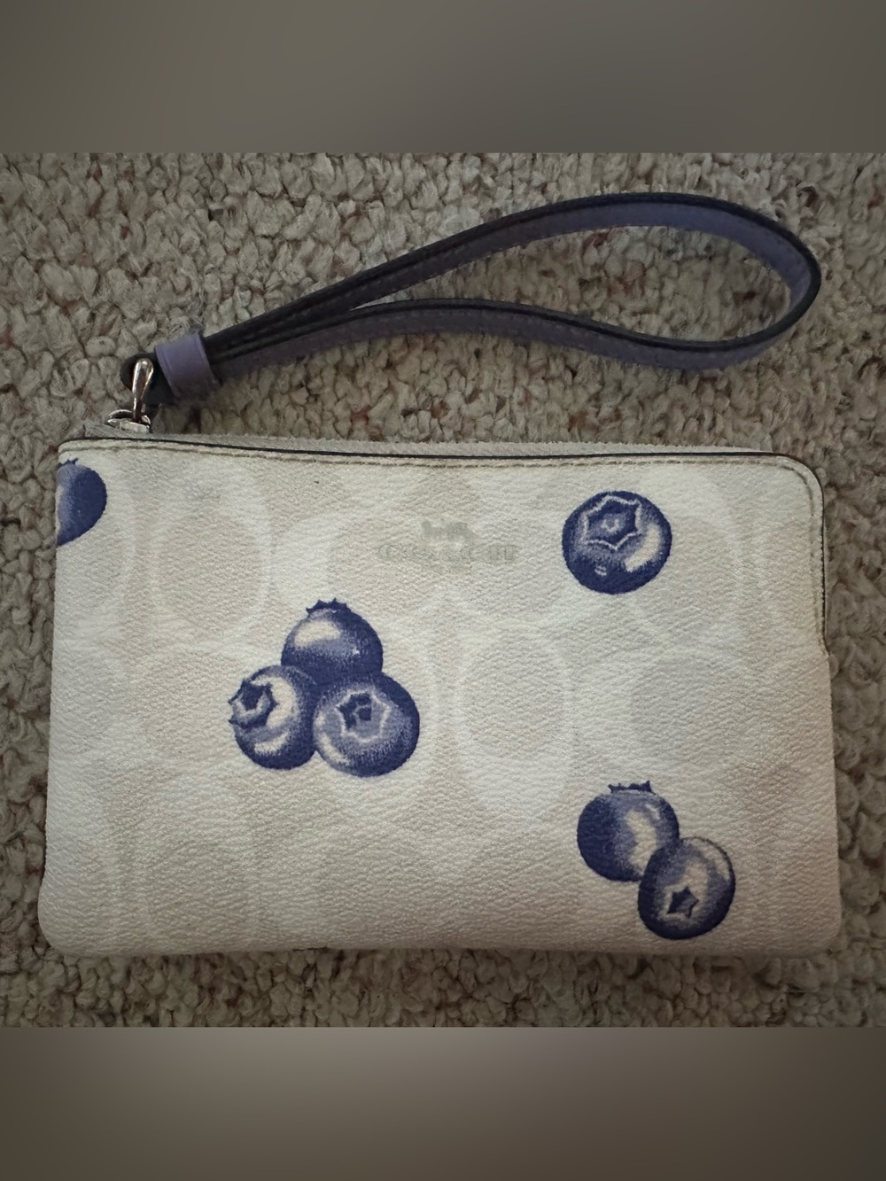 Coach Blue Fruit-Print Wristlet Clutch